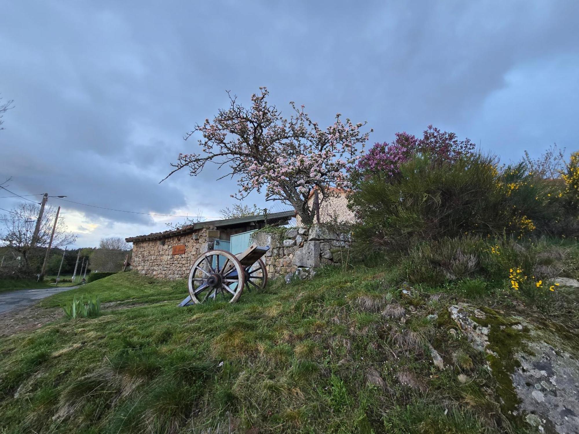 La Menou Hébergement de vacances Usson-en-Forez